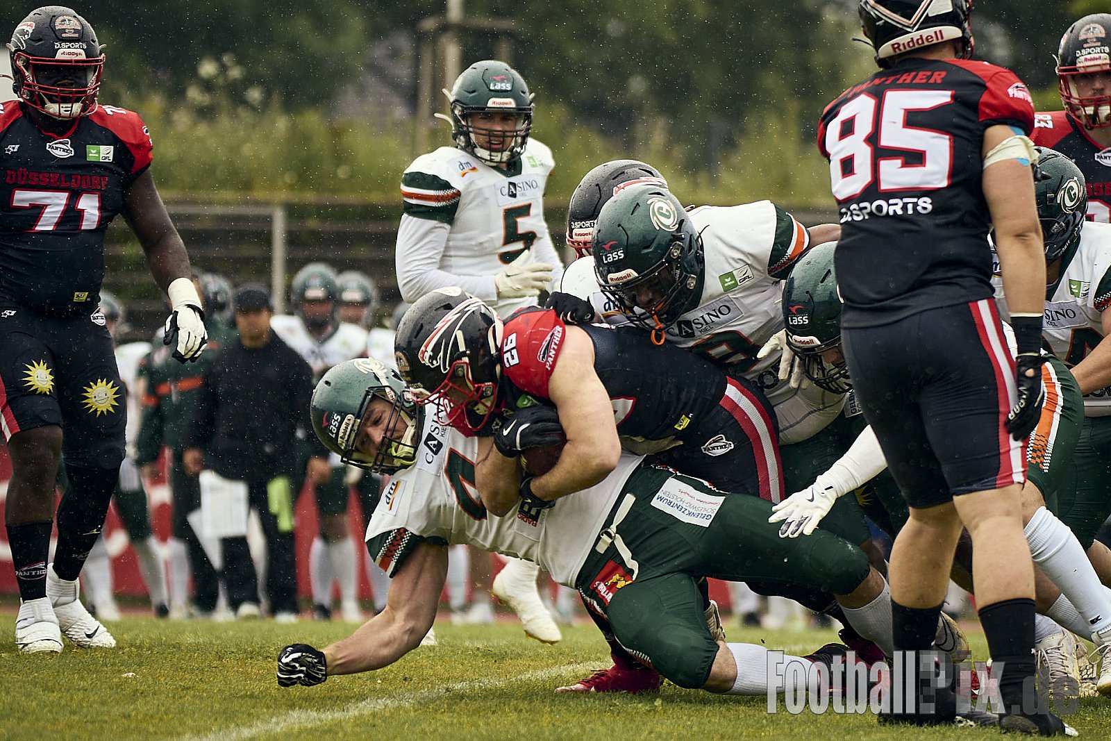 GFL | Düsseldorf Panther vs. Kiel Baltic Hurricanes | 24.05.2025 | Stadion VfL Benrath , 40597 Düsseldorf | Punkte Endstand 14 : 30 | Bildnummer: 2025-05-24_0161 - DPantherVsKielBalticHurricanes