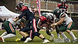 GFL | Düsseldorf Panther vs. Kiel Baltic Hurricanes | 24.05.2025 | Stadion VfL Benrath , 40597 Düsseldorf | Punkte Endstand 14 : 30 | Bildnummer: 2025-05-24_0340 - DPantherVsKielBalticHurricanes