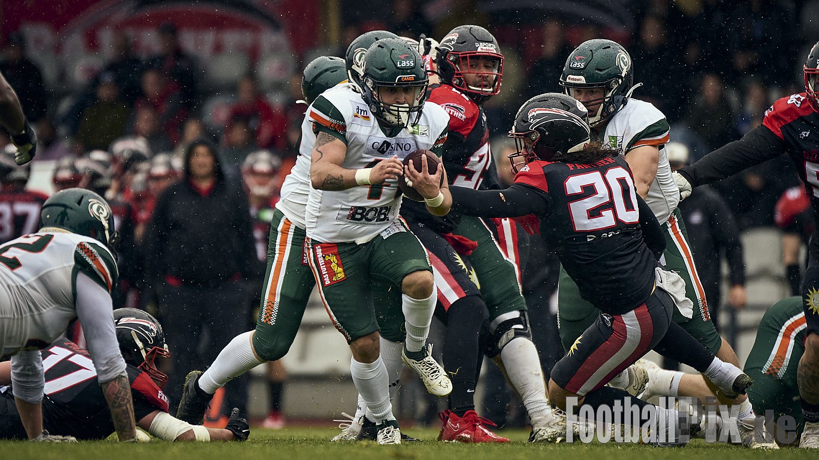 GFL | Düsseldorf Panther vs. Kiel Baltic Hurricanes | 24.05.2025 | Stadion VfL Benrath , 40597 Düsseldorf | Punkte Endstand 14 : 30 | Bildnummer: 2025-05-24_0516 - DPantherVsKielBalticHurricanes