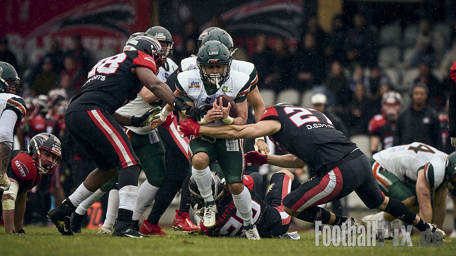 GFL | Düsseldorf Panther vs. Kiel Baltic Hurricanes | 24.05.2025 | Stadion VfL Benrath , 40597 Düsseldorf | Punkte Endstand 14 : 30 | Bildnummer: 2025-05-24_0521 - DPantherVsKielBalticHurricanes