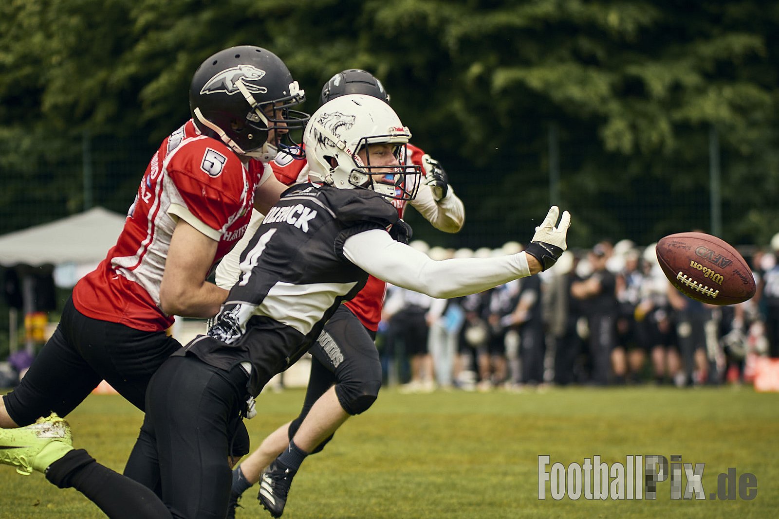 AFCV OL NRW | Wuppertal Greyhoundsr vs. Mönchengladbach Wolfpack | 25.05.2025 | SpA Gelber Sprung, Wuppertal | Punkte Endstand 21 : 08 | Bildnummer: 2025-05-25_0123 - WuppertalGreyhoundsVsMgWolfpack