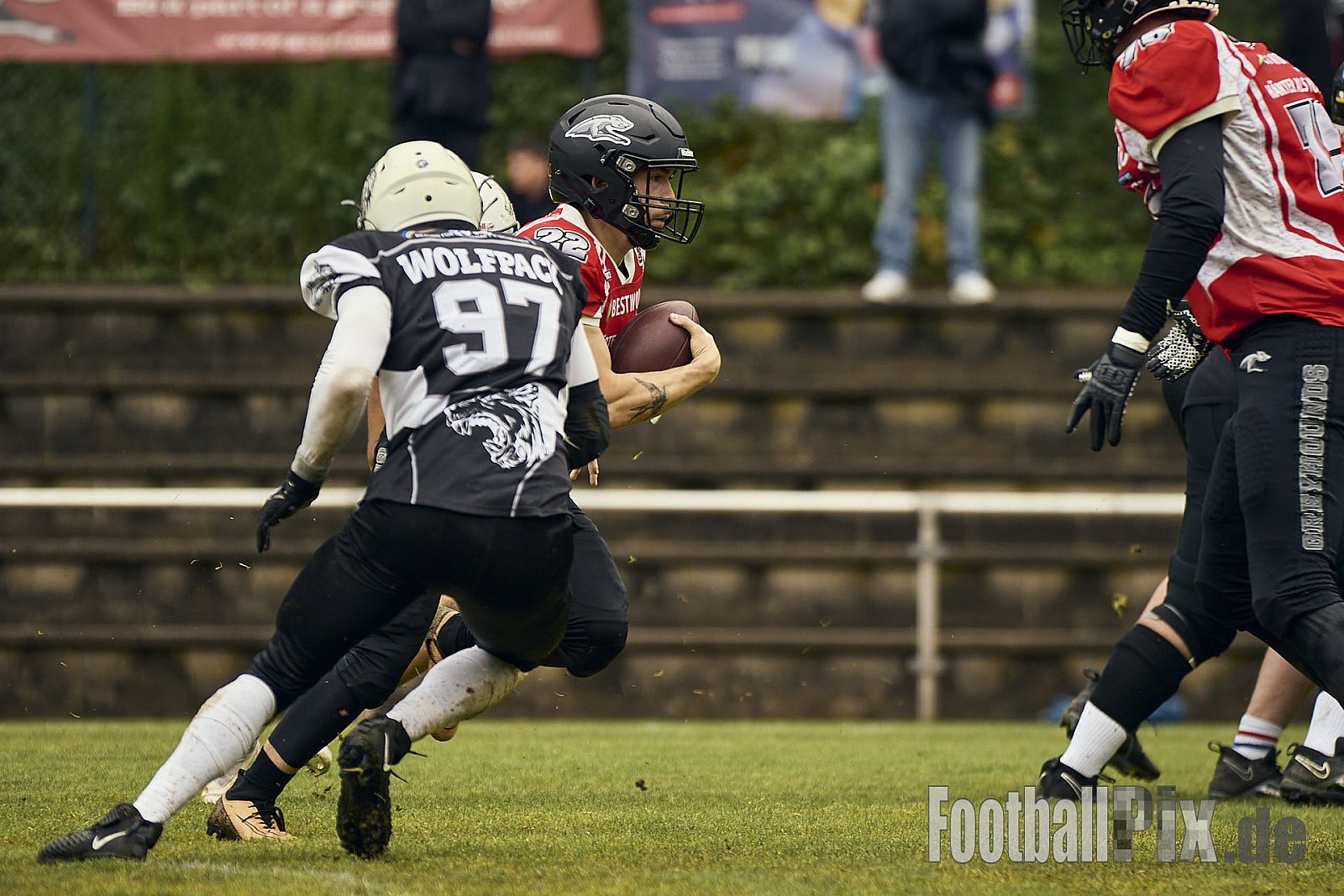 AFCV OL NRW | Wuppertal Greyhoundsr vs. Mönchengladbach Wolfpack | 25.05.2025 | SpA Gelber Sprung, Wuppertal | Punkte Endstand 21 : 08 | Bildnummer: 2025-05-25_0128 - WuppertalGreyhoundsVsMgWolfpack