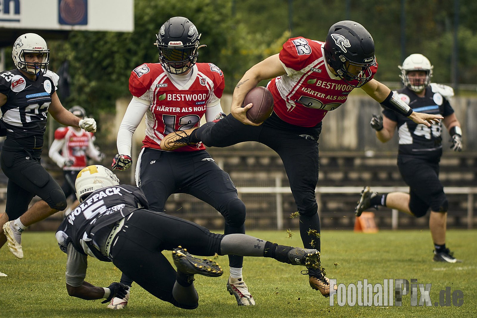 AFCV OL NRW | Wuppertal Greyhoundsr vs. Mönchengladbach Wolfpack | 25.05.2025 | SpA Gelber Sprung, Wuppertal | Punkte Endstand 21 : 08 | Bildnummer: 2025-05-25_0136 - WuppertalGreyhoundsVsMgWolfpack