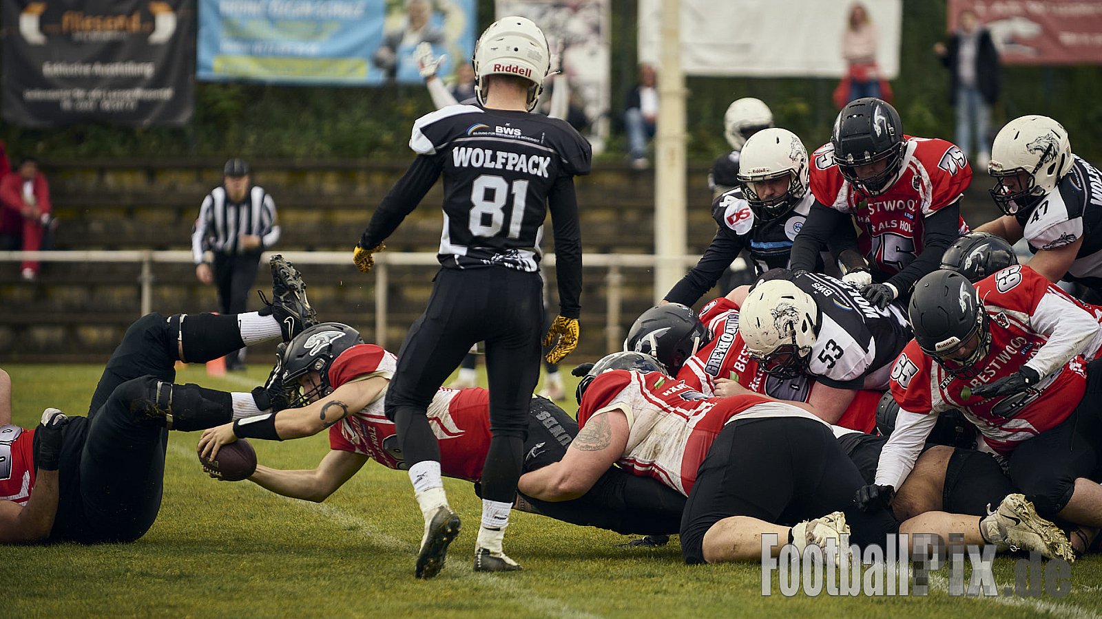 AFCV OL NRW | Wuppertal Greyhoundsr vs. Mönchengladbach Wolfpack | 25.05.2025 | SpA Gelber Sprung, Wuppertal | Punkte Endstand 21 : 08 | Bildnummer: 2025-05-25_0168 - WuppertalGreyhoundsVsMgWolfpack