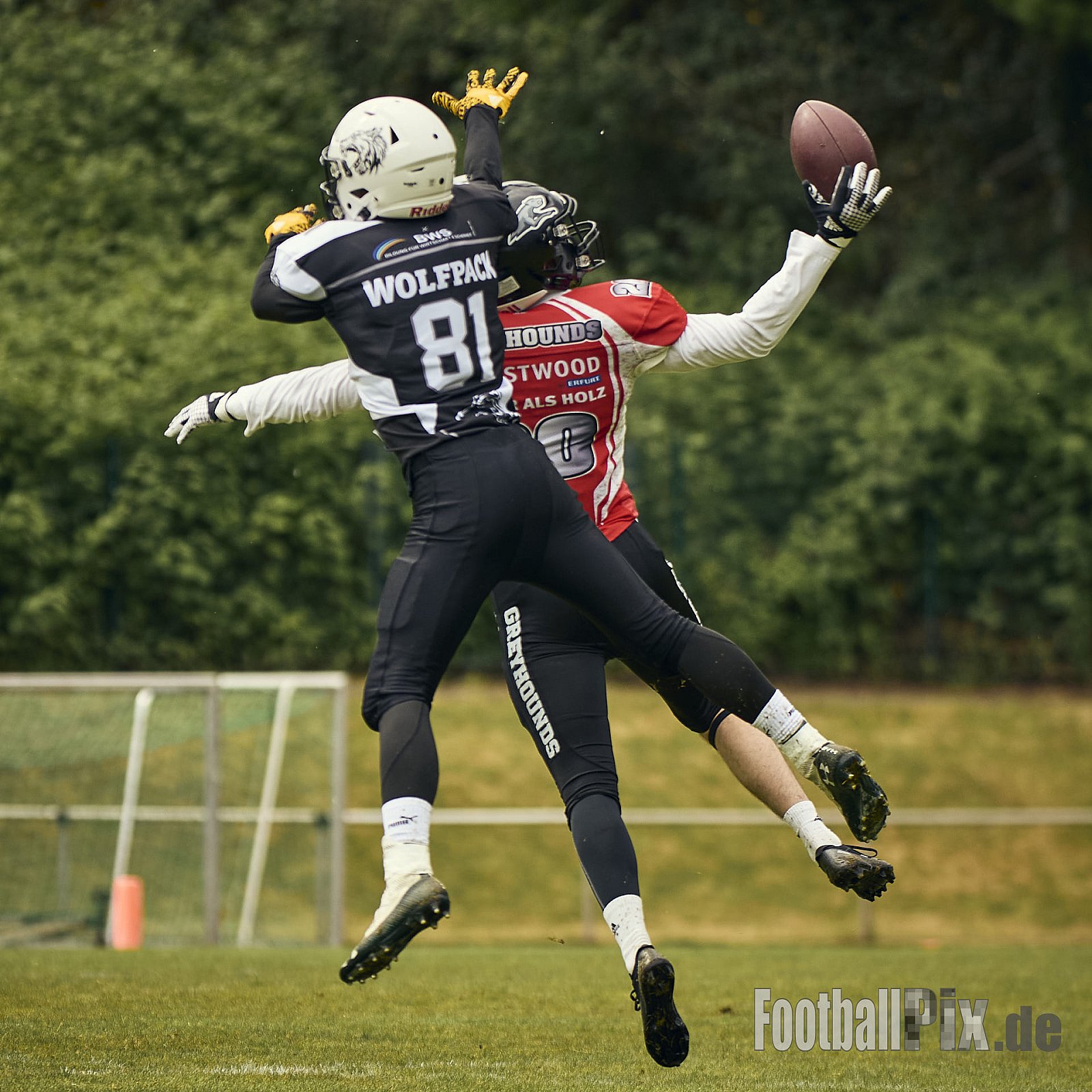 AFCV OL NRW | Wuppertal Greyhoundsr vs. Mönchengladbach Wolfpack | 25.05.2025 | SpA Gelber Sprung, Wuppertal | Punkte Endstand 21 : 08 | Bildnummer: 2025-05-25_0211 - WuppertalGreyhoundsVsMgWolfpack