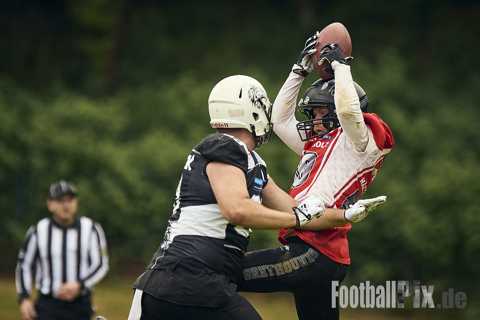 AFCV OL NRW | Wuppertal Greyhoundsr vs. Mönchengladbach Wolfpack | 25.05.2025 | SpA Gelber Sprung, Wuppertal | Punkte Endstand 21 : 08 | Bildnummer: 2025-05-25_0234 - WuppertalGreyhoundsVsMgWolfpack