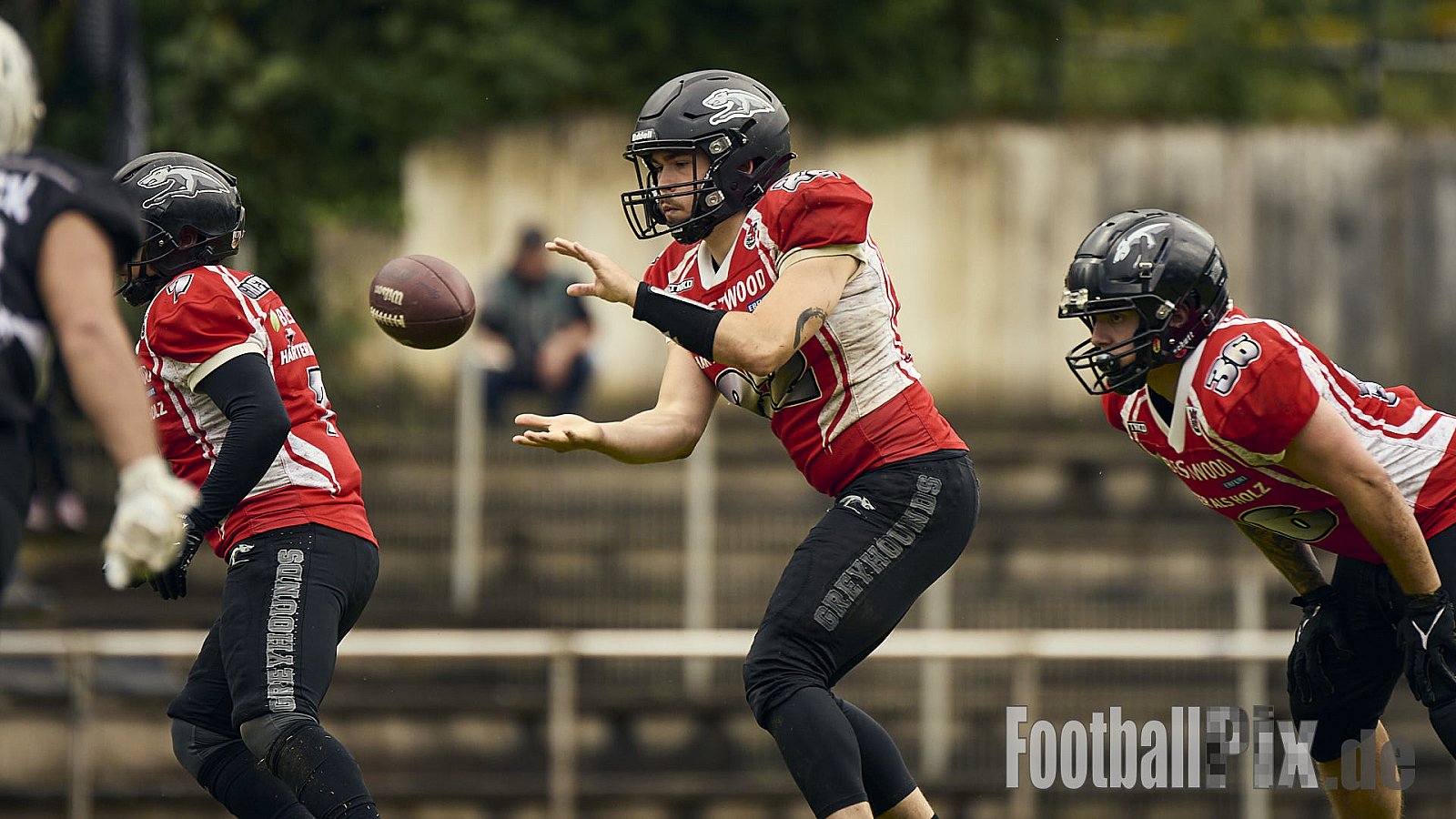 AFCV OL NRW | Wuppertal Greyhoundsr vs. Mönchengladbach Wolfpack | 25.05.2025 | SpA Gelber Sprung, Wuppertal | Punkte Endstand 21 : 08 | Bildnummer: 2025-05-25_0255 - WuppertalGreyhoundsVsMgWolfpack