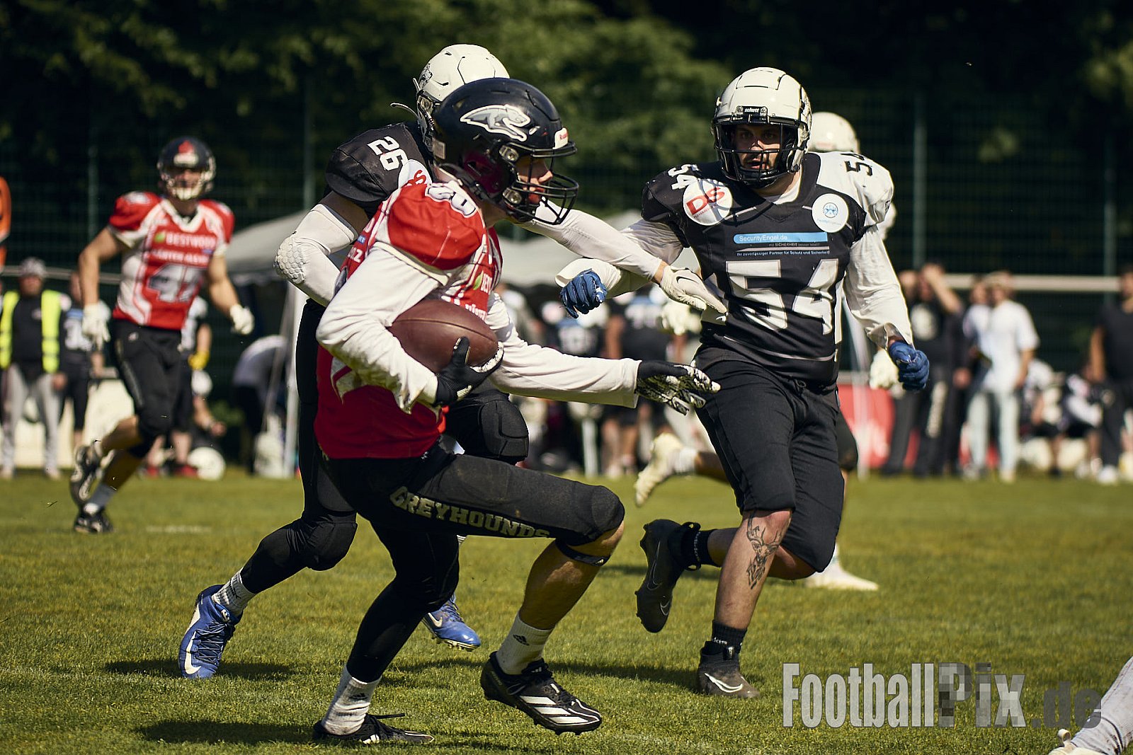 AFCV OL NRW | Wuppertal Greyhoundsr vs. Mönchengladbach Wolfpack | 25.05.2025 | SpA Gelber Sprung, Wuppertal | Punkte Endstand 21 : 08 | Bildnummer: 2025-05-25_0317 - WuppertalGreyhoundsVsMgWolfpack