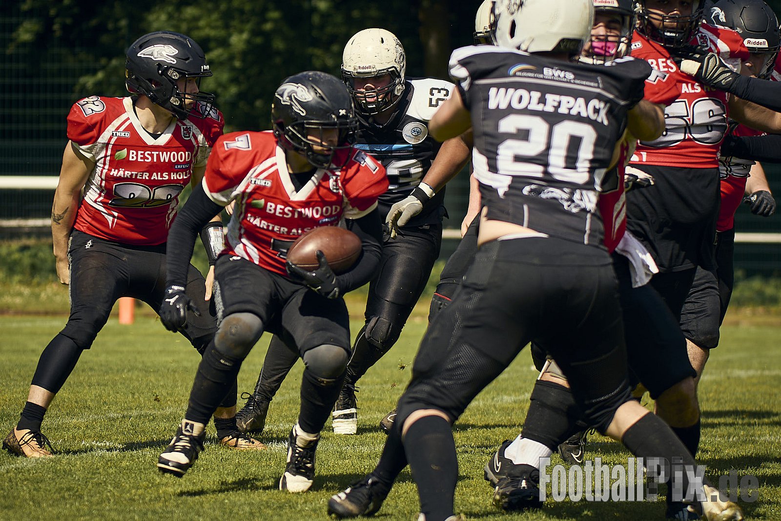 AFCV OL NRW | Wuppertal Greyhoundsr vs. Mönchengladbach Wolfpack | 25.05.2025 | SpA Gelber Sprung, Wuppertal | Punkte Endstand 21 : 08 | Bildnummer: 2025-05-25_0325 - WuppertalGreyhoundsVsMgWolfpack