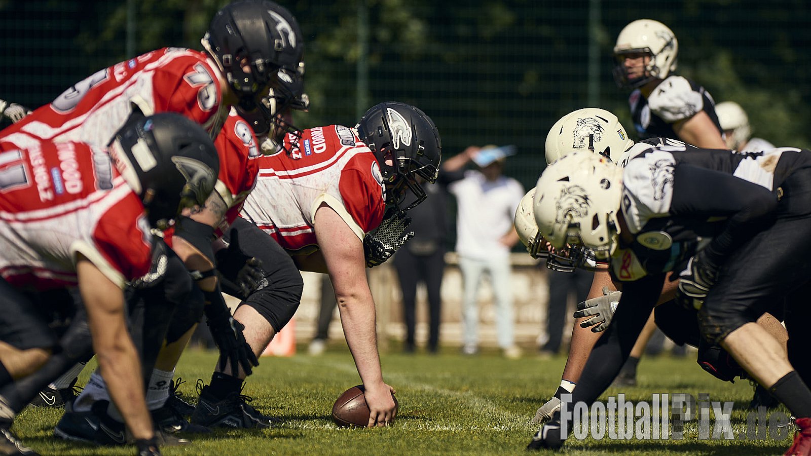 AFCV OL NRW | Wuppertal Greyhoundsr vs. Mönchengladbach Wolfpack | 25.05.2025 | SpA Gelber Sprung, Wuppertal | Punkte Endstand 21 : 08 | Bildnummer: 2025-05-25_0329 - WuppertalGreyhoundsVsMgWolfpack