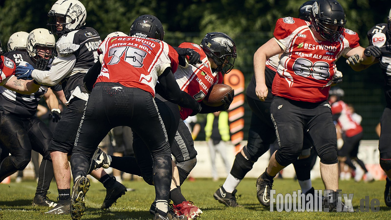 AFCV OL NRW | Wuppertal Greyhoundsr vs. Mönchengladbach Wolfpack | 25.05.2025 | SpA Gelber Sprung, Wuppertal | Punkte Endstand 21 : 08 | Bildnummer: 2025-05-25_0337 - WuppertalGreyhoundsVsMgWolfpack