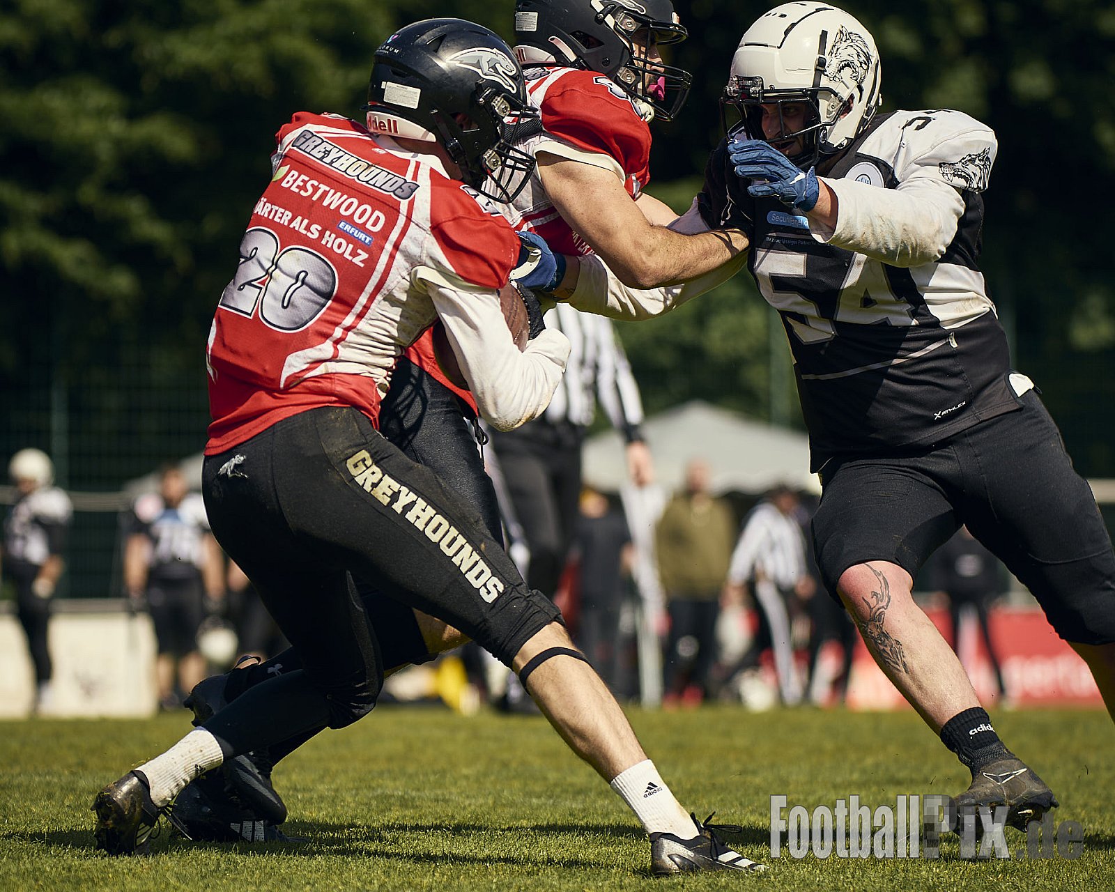 AFCV OL NRW | Wuppertal Greyhoundsr vs. Mönchengladbach Wolfpack | 25.05.2025 | SpA Gelber Sprung, Wuppertal | Punkte Endstand 21 : 08 | Bildnummer: 2025-05-25_0352 - WuppertalGreyhoundsVsMgWolfpack