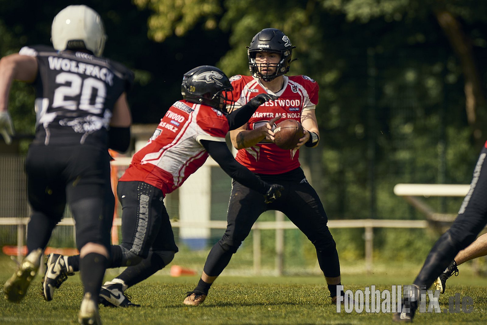 AFCV OL NRW | Wuppertal Greyhoundsr vs. Mönchengladbach Wolfpack | 25.05.2025 | SpA Gelber Sprung, Wuppertal | Punkte Endstand 21 : 08 | Bildnummer: 2025-05-25_0369 - WuppertalGreyhoundsVsMgWolfpack