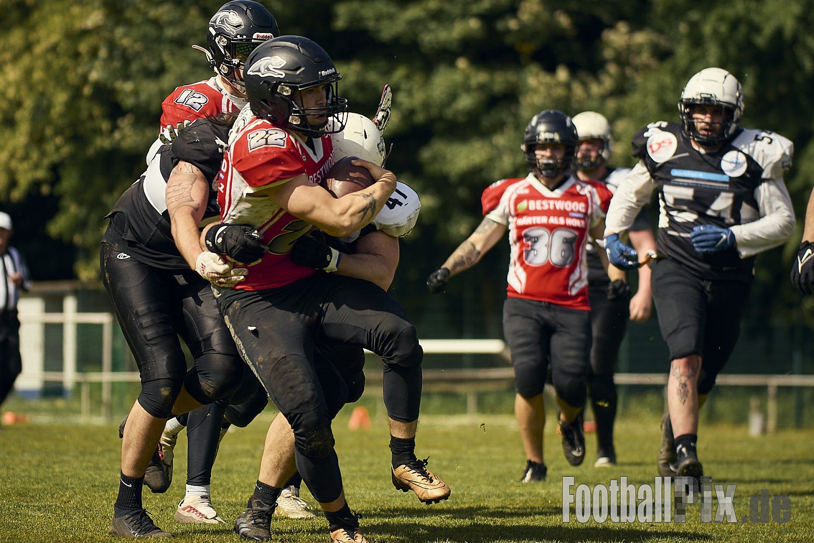 AFCV OL NRW | Wuppertal Greyhoundsr vs. Mönchengladbach Wolfpack | 25.05.2025 | SpA Gelber Sprung, Wuppertal | Punkte Endstand 21 : 08 | Bildnummer: 2025-05-25_0378 - WuppertalGreyhoundsVsMgWolfpack