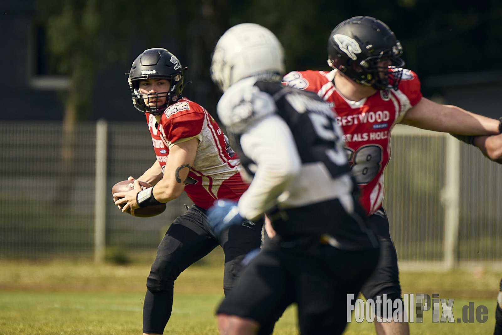 AFCV OL NRW | Wuppertal Greyhoundsr vs. Mönchengladbach Wolfpack | 25.05.2025 | SpA Gelber Sprung, Wuppertal | Punkte Endstand 21 : 08 | Bildnummer: 2025-05-25_0394 - WuppertalGreyhoundsVsMgWolfpack