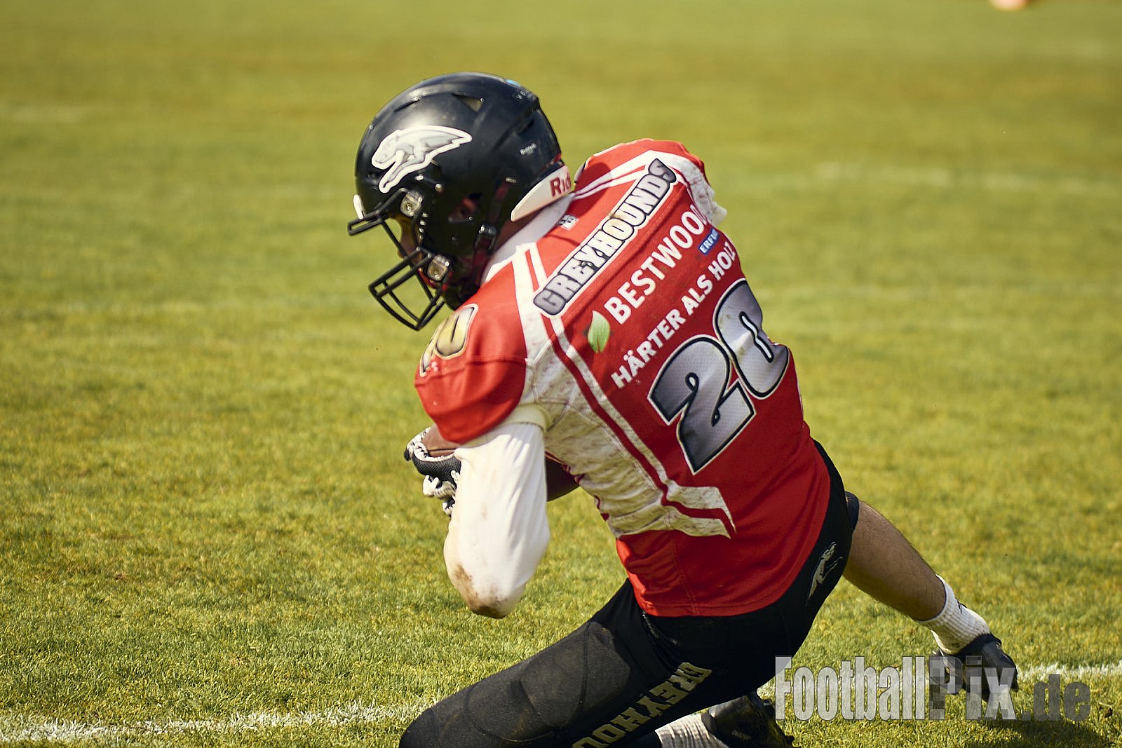 AFCV OL NRW | Wuppertal Greyhoundsr vs. Mönchengladbach Wolfpack | 25.05.2025 | SpA Gelber Sprung, Wuppertal | Punkte Endstand 21 : 08 | Bildnummer: 2025-05-25_0410 - WuppertalGreyhoundsVsMgWolfpack