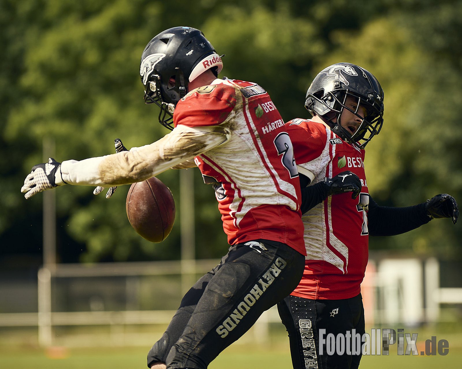 AFCV OL NRW | Wuppertal Greyhoundsr vs. Mönchengladbach Wolfpack | 25.05.2025 | SpA Gelber Sprung, Wuppertal | Punkte Endstand 21 : 08 | Bildnummer: 2025-05-25_0421 - WuppertalGreyhoundsVsMgWolfpack