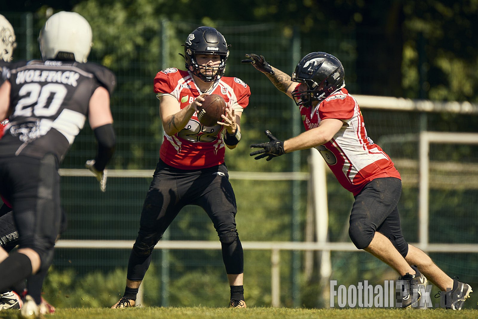 AFCV OL NRW | Wuppertal Greyhoundsr vs. Mönchengladbach Wolfpack | 25.05.2025 | SpA Gelber Sprung, Wuppertal | Punkte Endstand 21 : 08 | Bildnummer: 2025-05-25_0459 - WuppertalGreyhoundsVsMgWolfpack