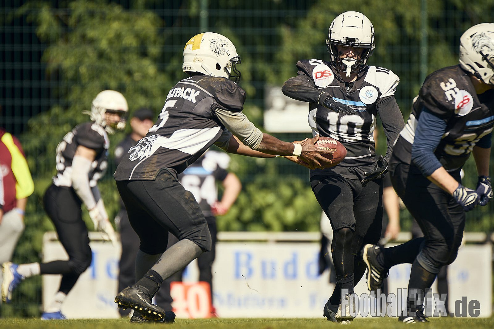 AFCV OL NRW | Wuppertal Greyhoundsr vs. Mönchengladbach Wolfpack | 25.05.2025 | SpA Gelber Sprung, Wuppertal | Punkte Endstand 21 : 08 | Bildnummer: 2025-05-25_0513 - WuppertalGreyhoundsVsMgWolfpack