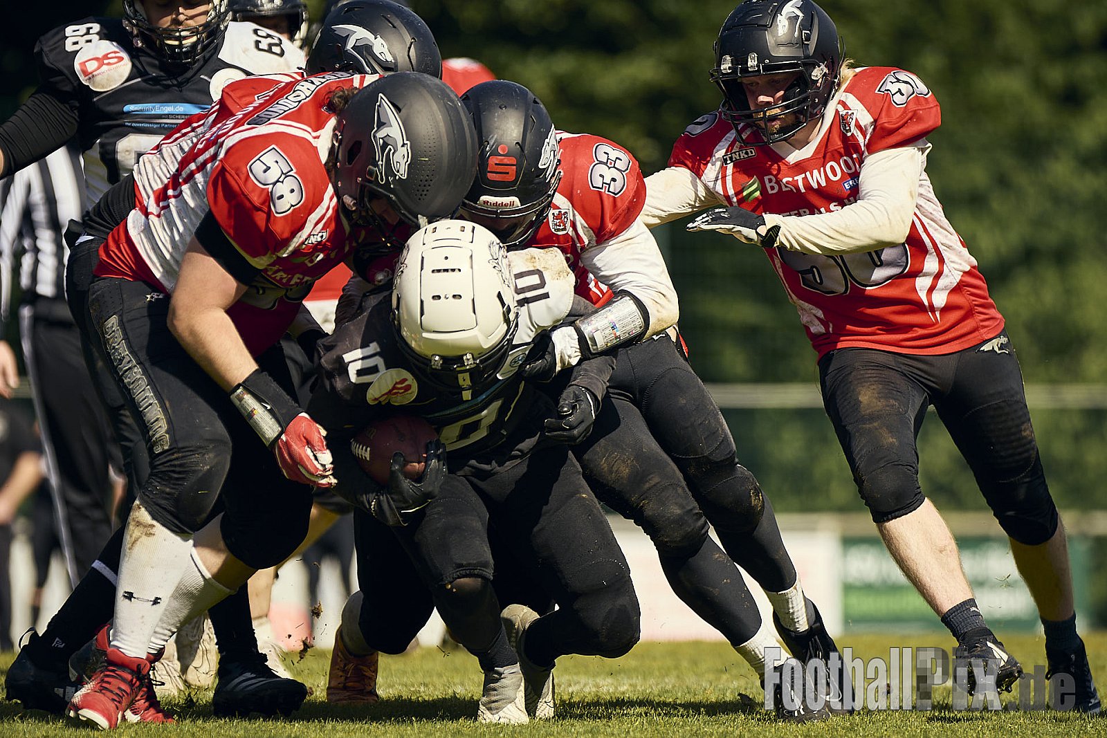 AFCV OL NRW | Wuppertal Greyhoundsr vs. Mönchengladbach Wolfpack | 25.05.2025 | SpA Gelber Sprung, Wuppertal | Punkte Endstand 21 : 08 | Bildnummer: 2025-05-25_0531 - WuppertalGreyhoundsVsMgWolfpack