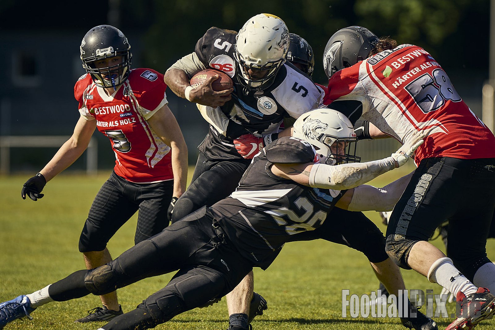 AFCV OL NRW | Wuppertal Greyhoundsr vs. Mönchengladbach Wolfpack | 25.05.2025 | SpA Gelber Sprung, Wuppertal | Punkte Endstand 21 : 08 | Bildnummer: 2025-05-25_0569 - WuppertalGreyhoundsVsMgWolfpack