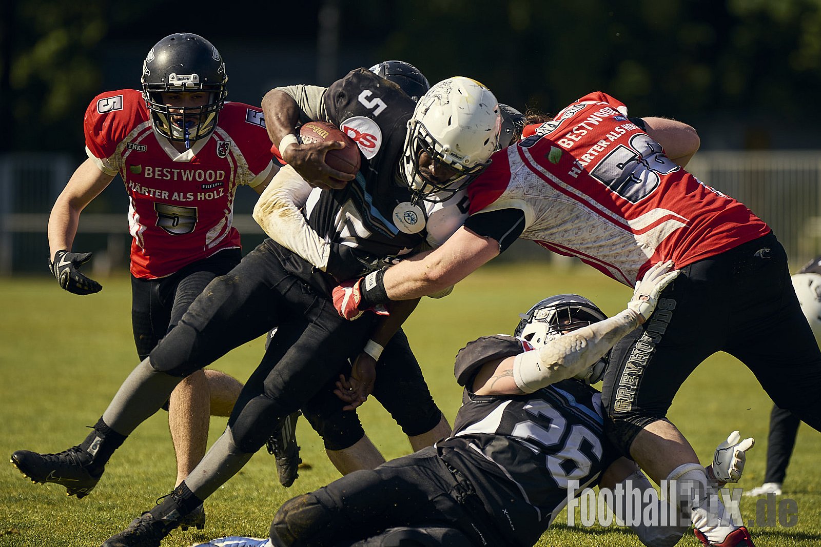 AFCV OL NRW | Wuppertal Greyhoundsr vs. Mönchengladbach Wolfpack | 25.05.2025 | SpA Gelber Sprung, Wuppertal | Punkte Endstand 21 : 08 | Bildnummer: 2025-05-25_0571 - WuppertalGreyhoundsVsMgWolfpack
