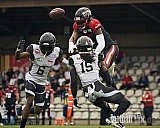 GFL | D&uuml;sseldorf Panther vs. Berlin Rebels |  Punkte Endstand 14 : 21 | Stadion Benrath, Dusseldorf | 15.06.2025Job ID: 2025-06-15_0239 - DPantherVsBerlinRebels