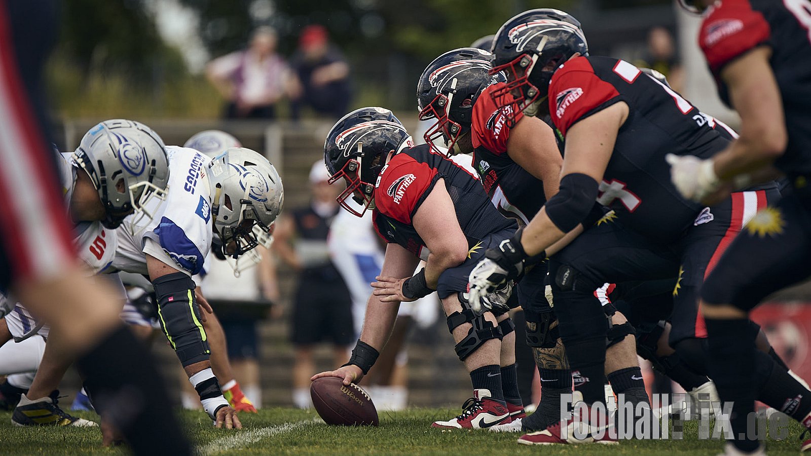 GFL | Düsseldorf Panther vs. Pforzheim Wilddogs |  Punkte Endstand 14 : 07 | Stadion Benrath, Düsseldorf | 28.06.2025 | Job ID: 2025-06-28_0138 - DPantherVsPforzheimWilddogs