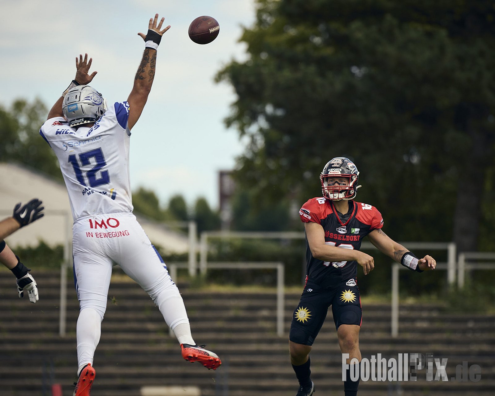 #16 Cole James Stenstrom, Offense, Düsseldorf Panther | GFL | Düsseldorf Panther vs. Pforzheim Wilddogs |  Punkte Endstand 14 : 07 | Stadion Benrath, Düsseldorf | 28.06.2025 | Job ID: 2025-06-28_0147 - DPantherVsPforzheimWilddogs