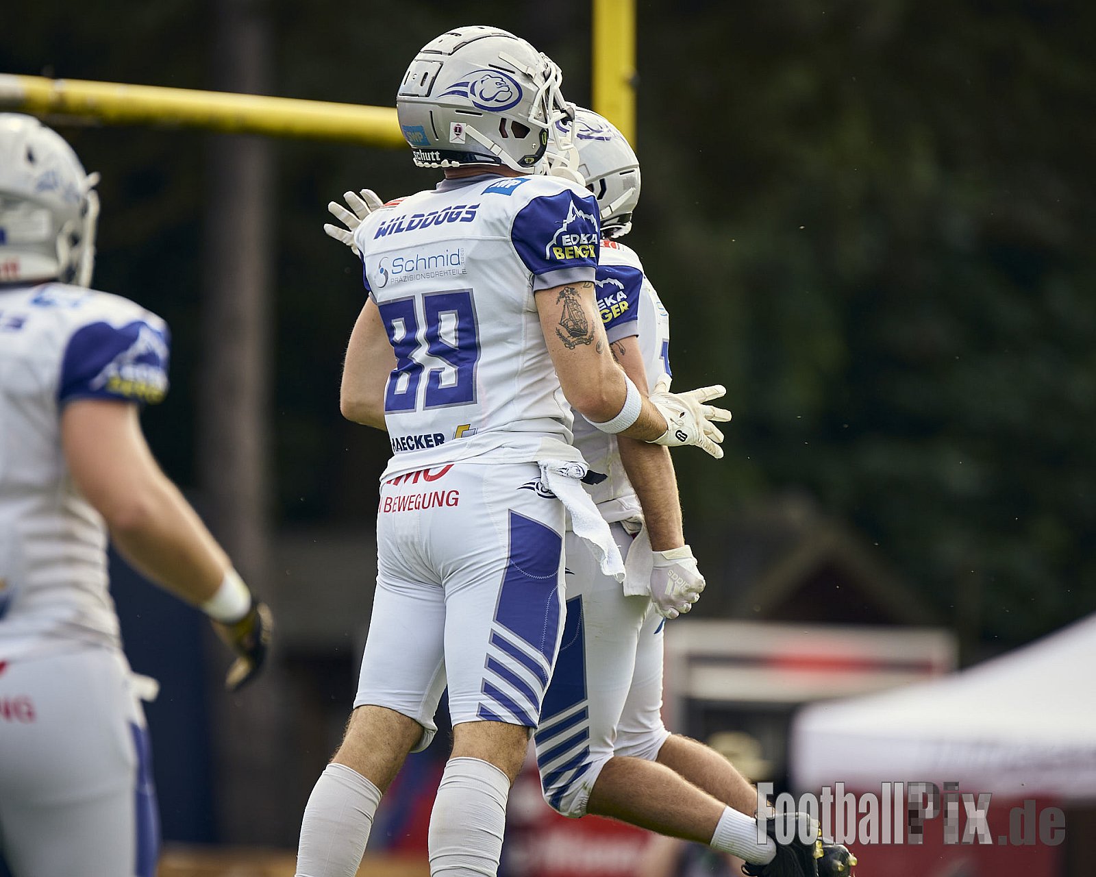 GFL | Düsseldorf Panther vs. Pforzheim Wilddogs |  Punkte Endstand 14 : 07 | Stadion Benrath, Düsseldorf | 28.06.2025 | Job ID: 2025-06-28_0207 - DPantherVsPforzheimWilddogs