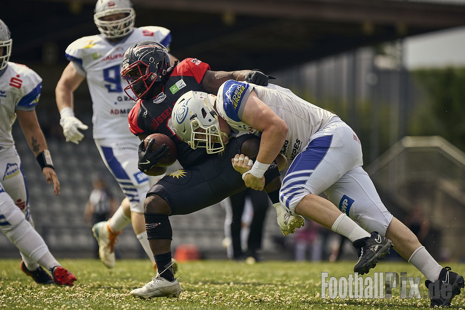 GFL | Düsseldorf Panther vs. Pforzheim Wilddogs |  Punkte Endstand 14 : 07 | Stadion Benrath, Düsseldorf | 28.06.2025 | Job ID: 2025-06-28_0238 - DPantherVsPforzheimWilddogs