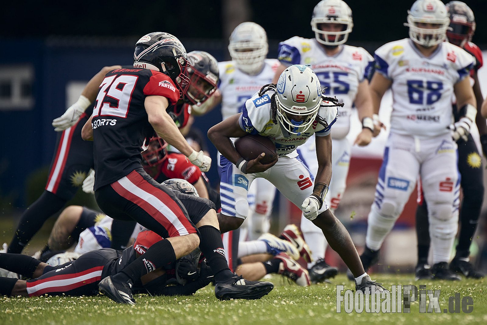GFL | Düsseldorf Panther vs. Pforzheim Wilddogs |  Punkte Endstand 14 : 07 | Stadion Benrath, Düsseldorf | 28.06.2025 | Job ID: 2025-06-28_0331 - DPantherVsPforzheimWilddogs