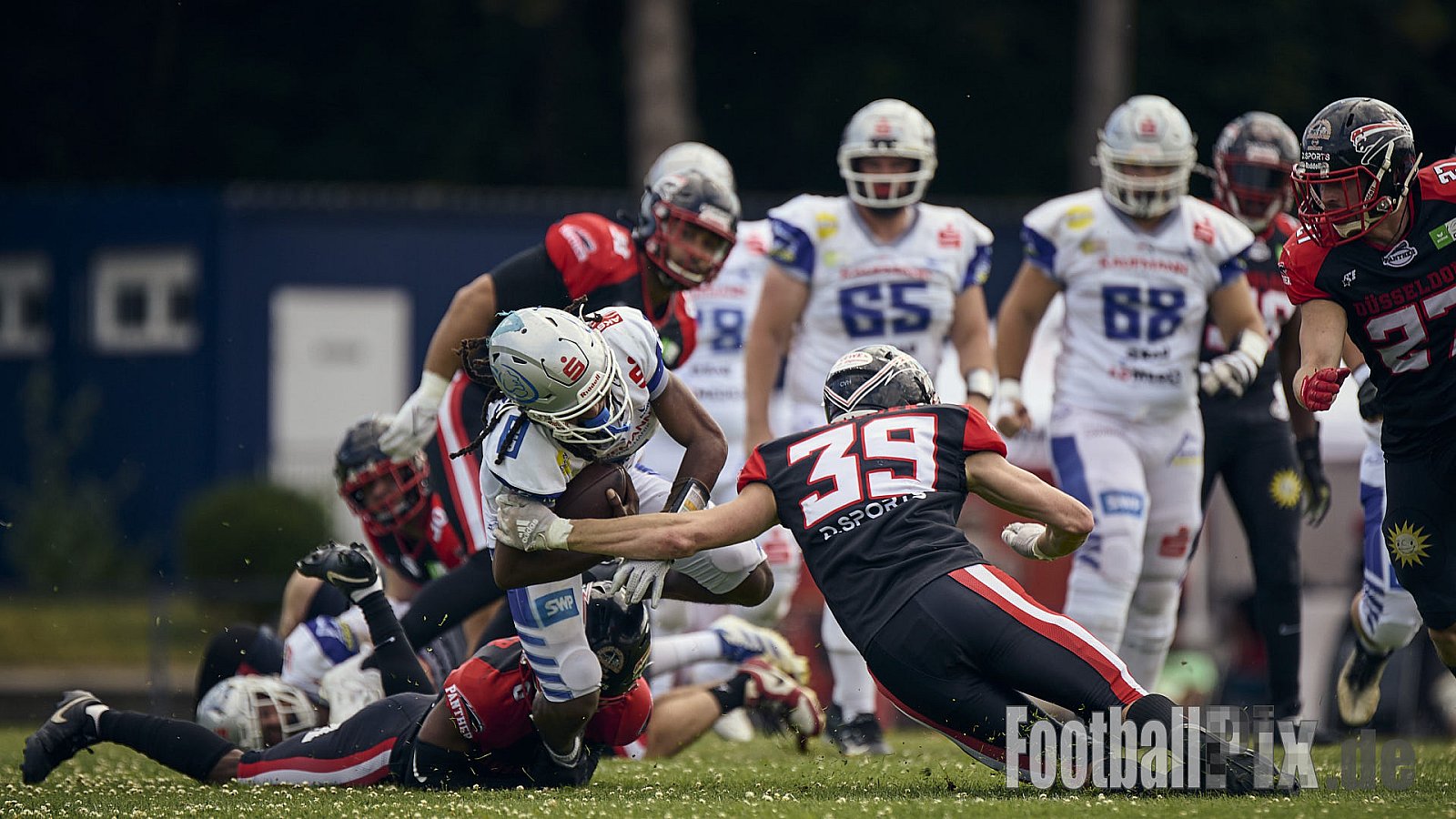 GFL | Düsseldorf Panther vs. Pforzheim Wilddogs |  Punkte Endstand 14 : 07 | Stadion Benrath, Düsseldorf | 28.06.2025 | Job ID: 2025-06-28_0333 - DPantherVsPforzheimWilddogs