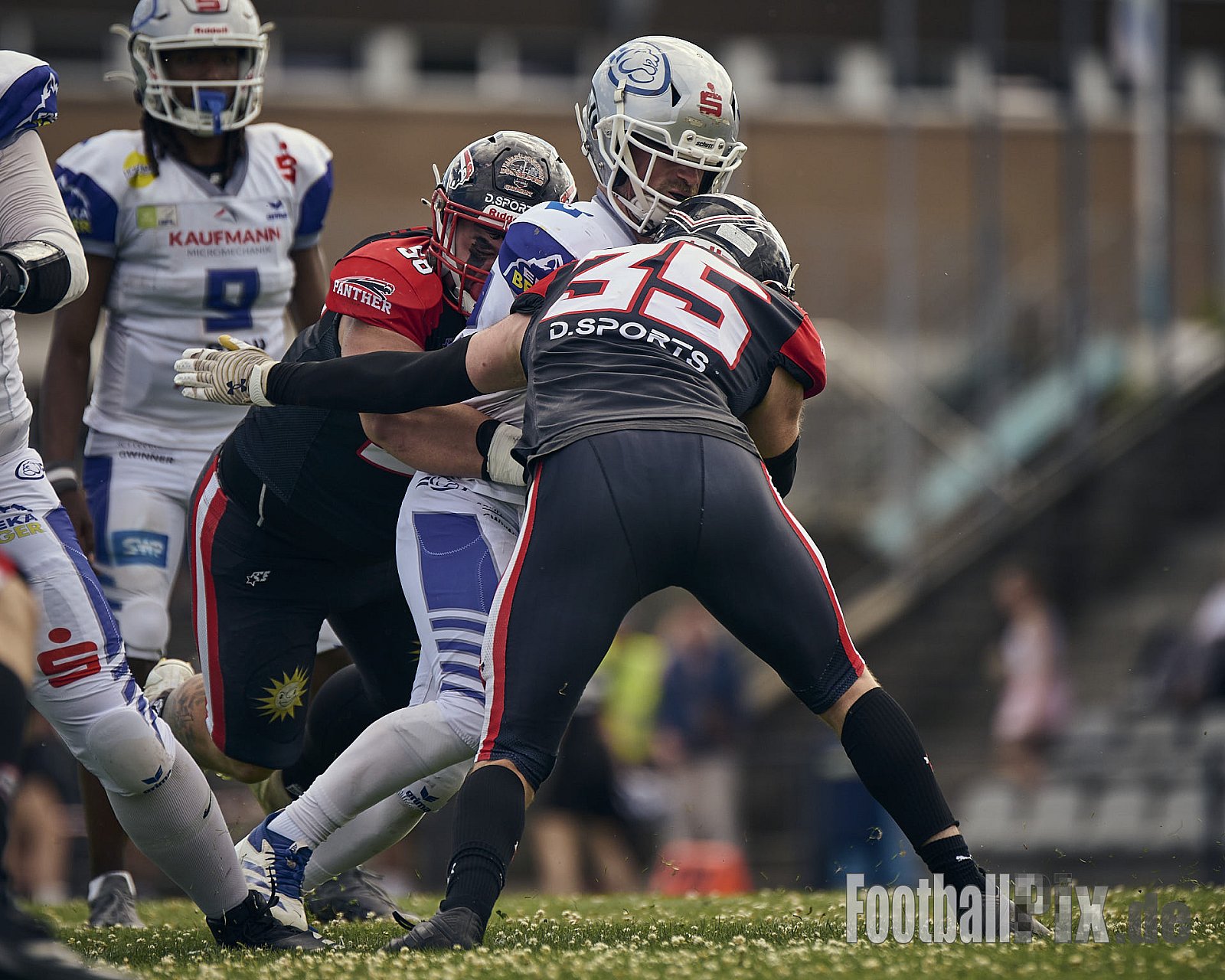 GFL | Düsseldorf Panther vs. Pforzheim Wilddogs |  Punkte Endstand 14 : 07 | Stadion Benrath, Düsseldorf | 28.06.2025 | Job ID: 2025-06-28_0363 - DPantherVsPforzheimWilddogs