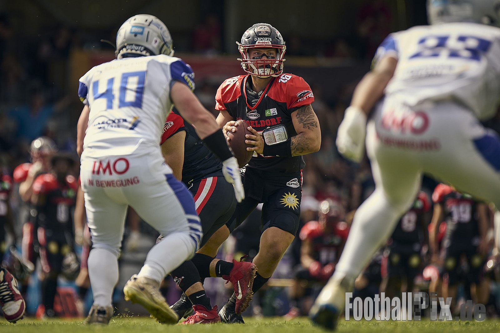 #16 Cole James Stenstrom, Offense, Düsseldorf Panther | GFL | Düsseldorf Panther vs. Pforzheim Wilddogs |  Punkte Endstand 14 : 07 | Stadion Benrath, Düsseldorf | 28.06.2025 | Job ID: 2025-06-28_0417 - DPantherVsPforzheimWilddogs