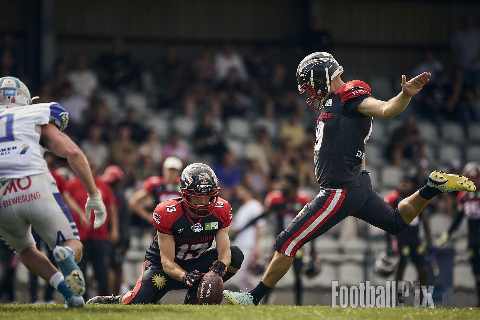 GFL | Düsseldorf Panther vs. Pforzheim Wilddogs |  Punkte Endstand 14 : 07 | Stadion Benrath, Düsseldorf | 28.06.2025 | Job ID: 2025-06-28_0470 - DPantherVsPforzheimWilddogs
