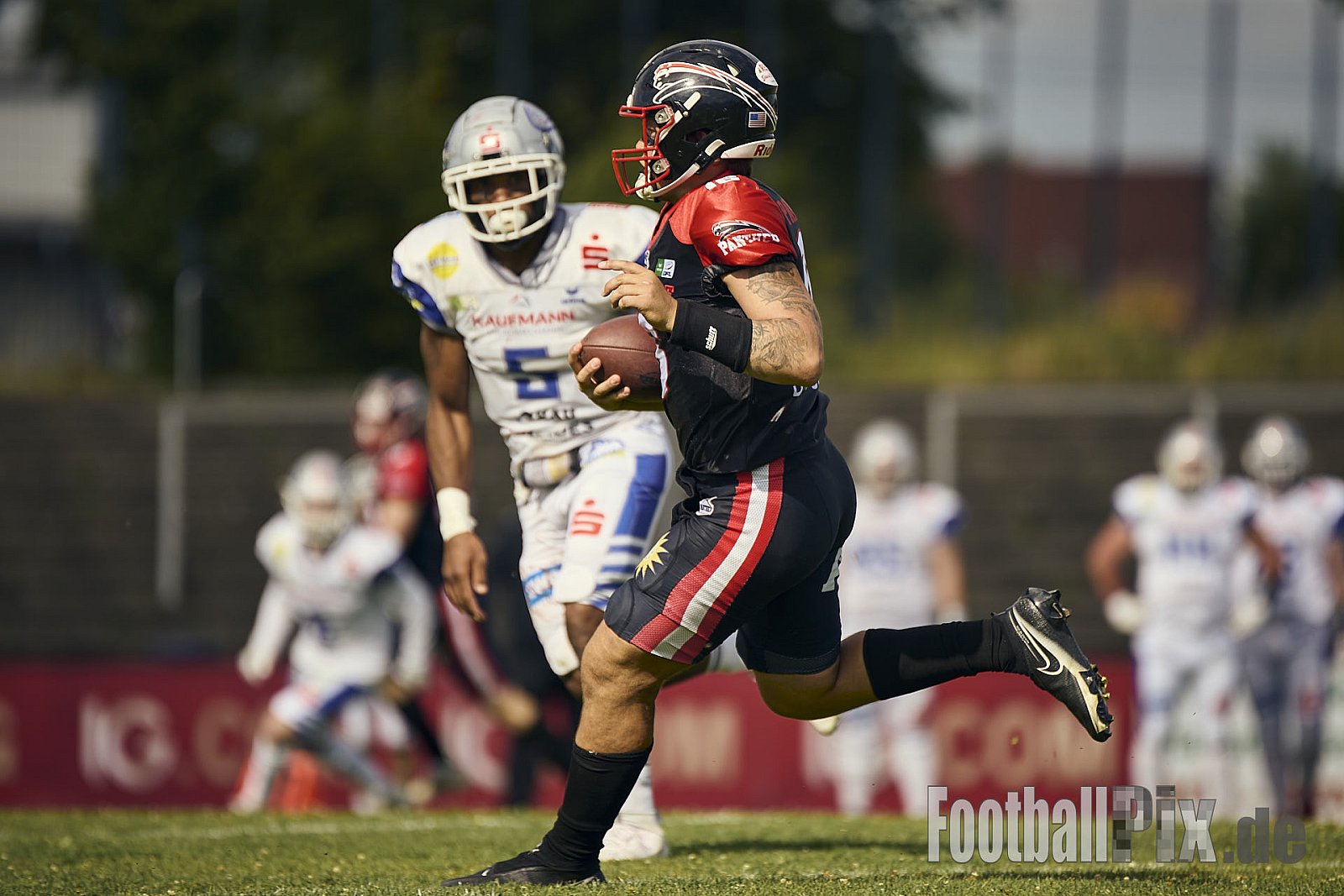 GFL | Düsseldorf Panther vs. Pforzheim Wilddogs |  Punkte Endstand 14 : 07 | Stadion Benrath, Düsseldorf | 28.06.2025 | Job ID: 2025-06-28_0595 - DPantherVsPforzheimWilddogs