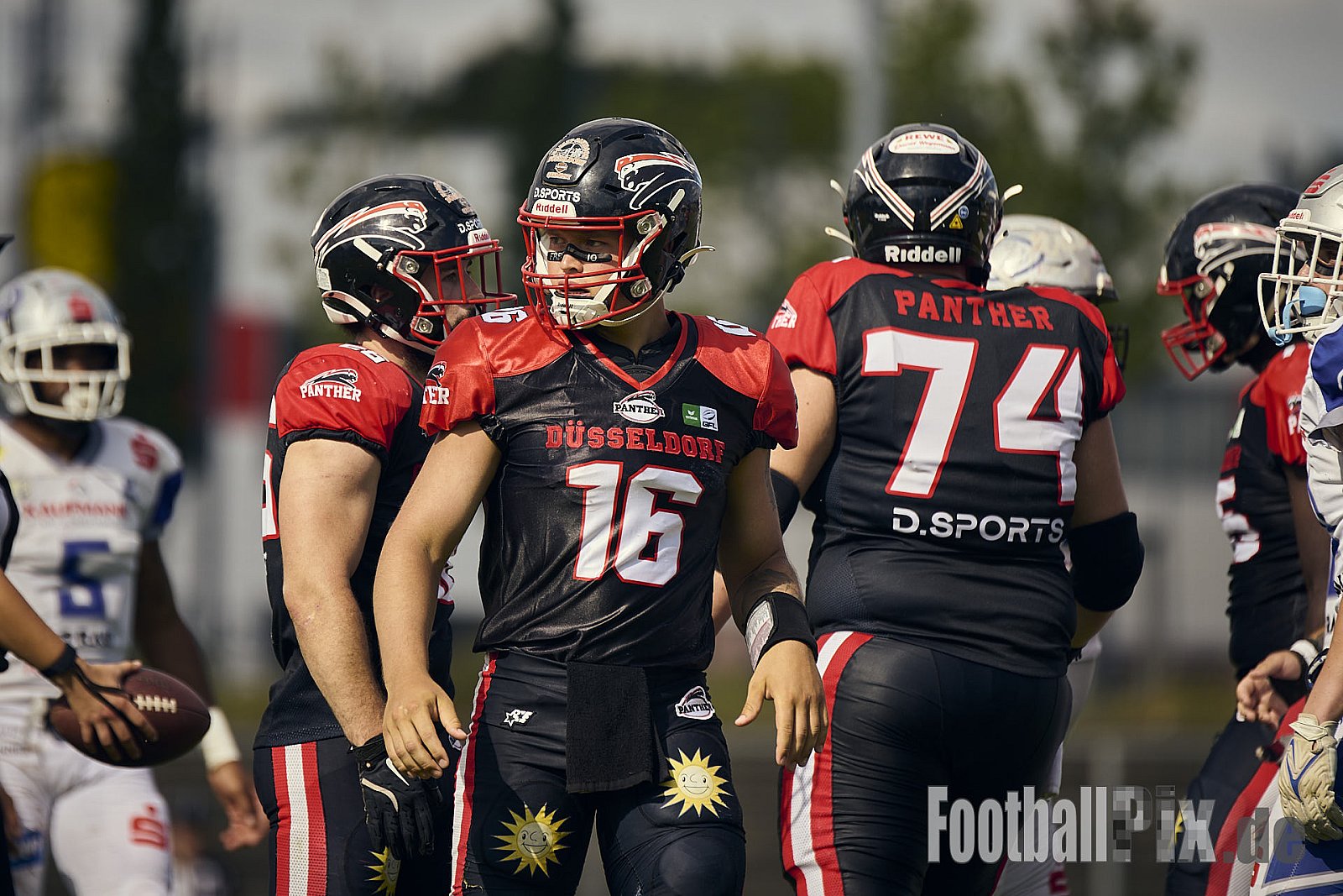 #16 Cole James Stenstrom, Offense, Düsseldorf Panther | GFL | Düsseldorf Panther vs. Pforzheim Wilddogs |  Punkte Endstand 14 : 07 | Stadion Benrath, Düsseldorf | 28.06.2025 | Job ID: 2025-06-28_0604 - DPantherVsPforzheimWilddogs