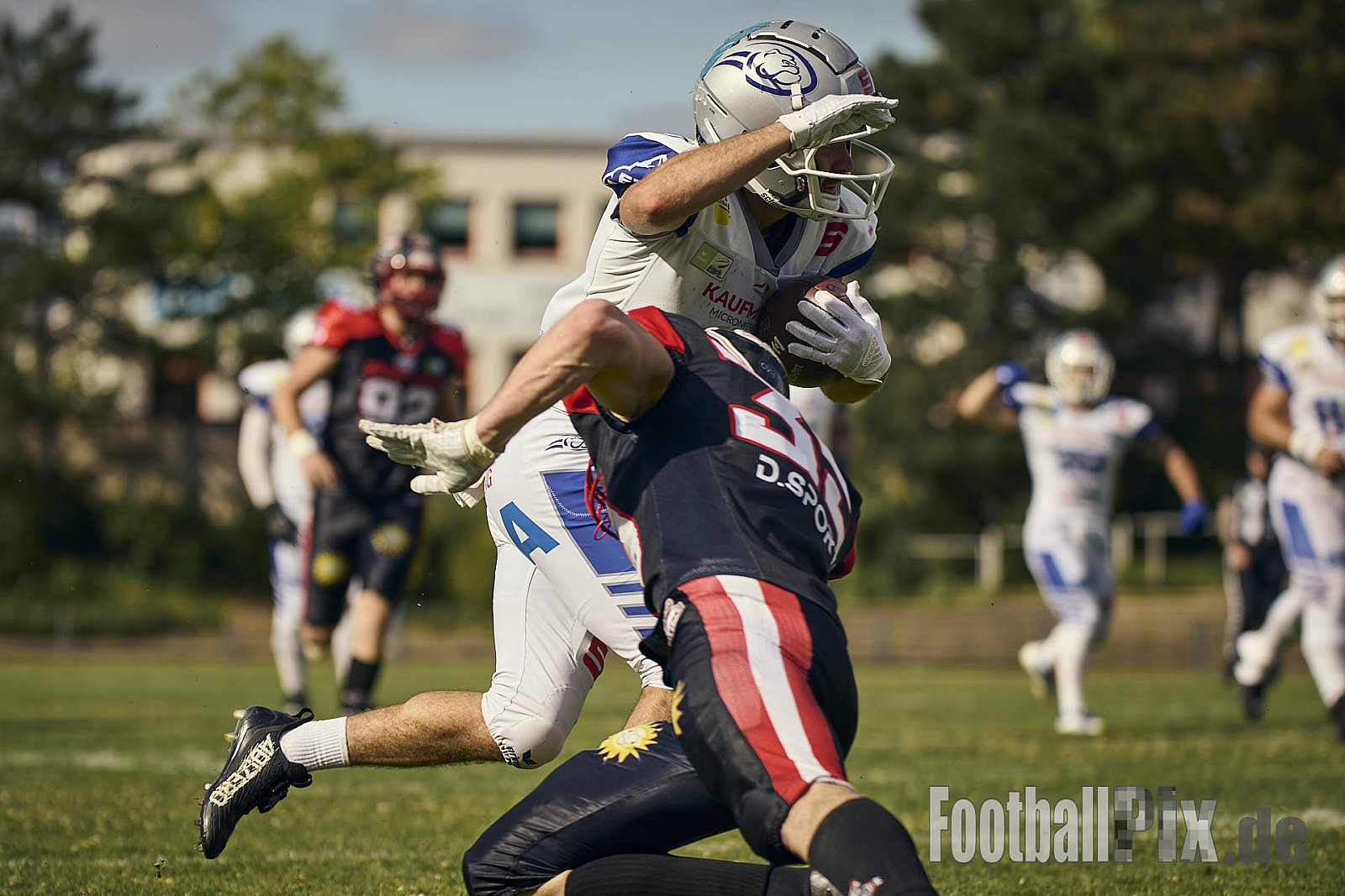 GFL | Düsseldorf Panther vs. Pforzheim Wilddogs |  Punkte Endstand 14 : 07 | Stadion Benrath, Düsseldorf | 28.06.2025 | Job ID: 2025-06-28_0715 - DPantherVsPforzheimWilddogs