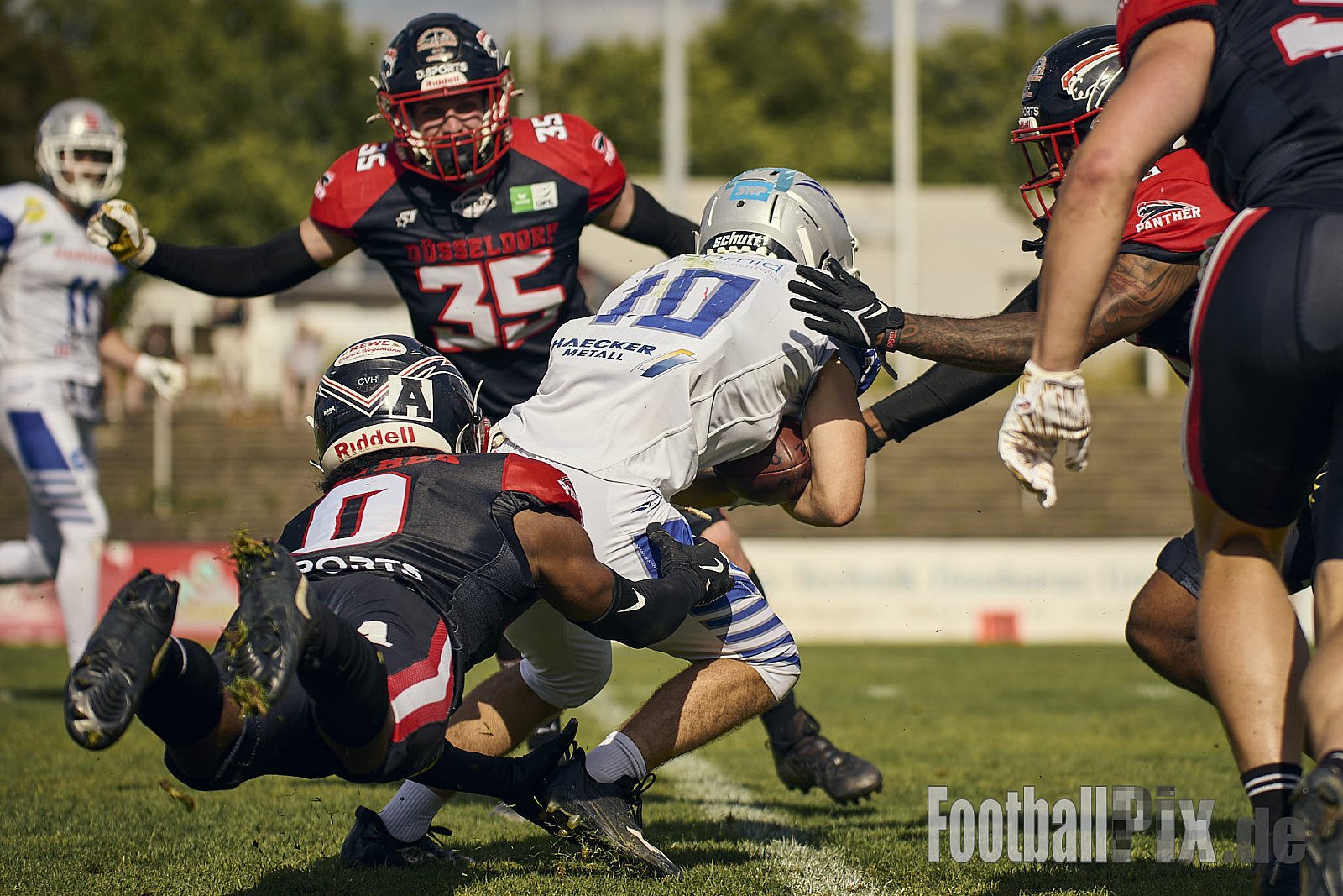 GFL | Düsseldorf Panther vs. Pforzheim Wilddogs |  Punkte Endstand 14 : 07 | Stadion Benrath, Düsseldorf | 28.06.2025 | Job ID: 2025-06-28_0727 - DPantherVsPforzheimWilddogs