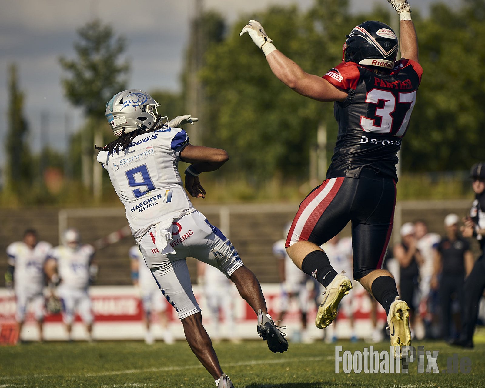 GFL | Düsseldorf Panther vs. Pforzheim Wilddogs |  Punkte Endstand 14 : 07 | Stadion Benrath, Düsseldorf | 28.06.2025 | Job ID: 2025-06-28_0749 - DPantherVsPforzheimWilddogs