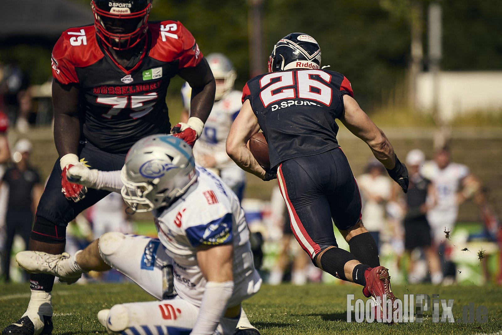 #26 François-Guilhem Pion, Offense, Düsseldorf Panther | GFL | Düsseldorf Panther vs. Pforzheim Wilddogs |  Punkte Endstand 14 : 07 | Stadion Benrath, Düsseldorf | 28.06.2025 | Job ID: 2025-06-28_0754 - DPantherVsPforzheimWilddogs
