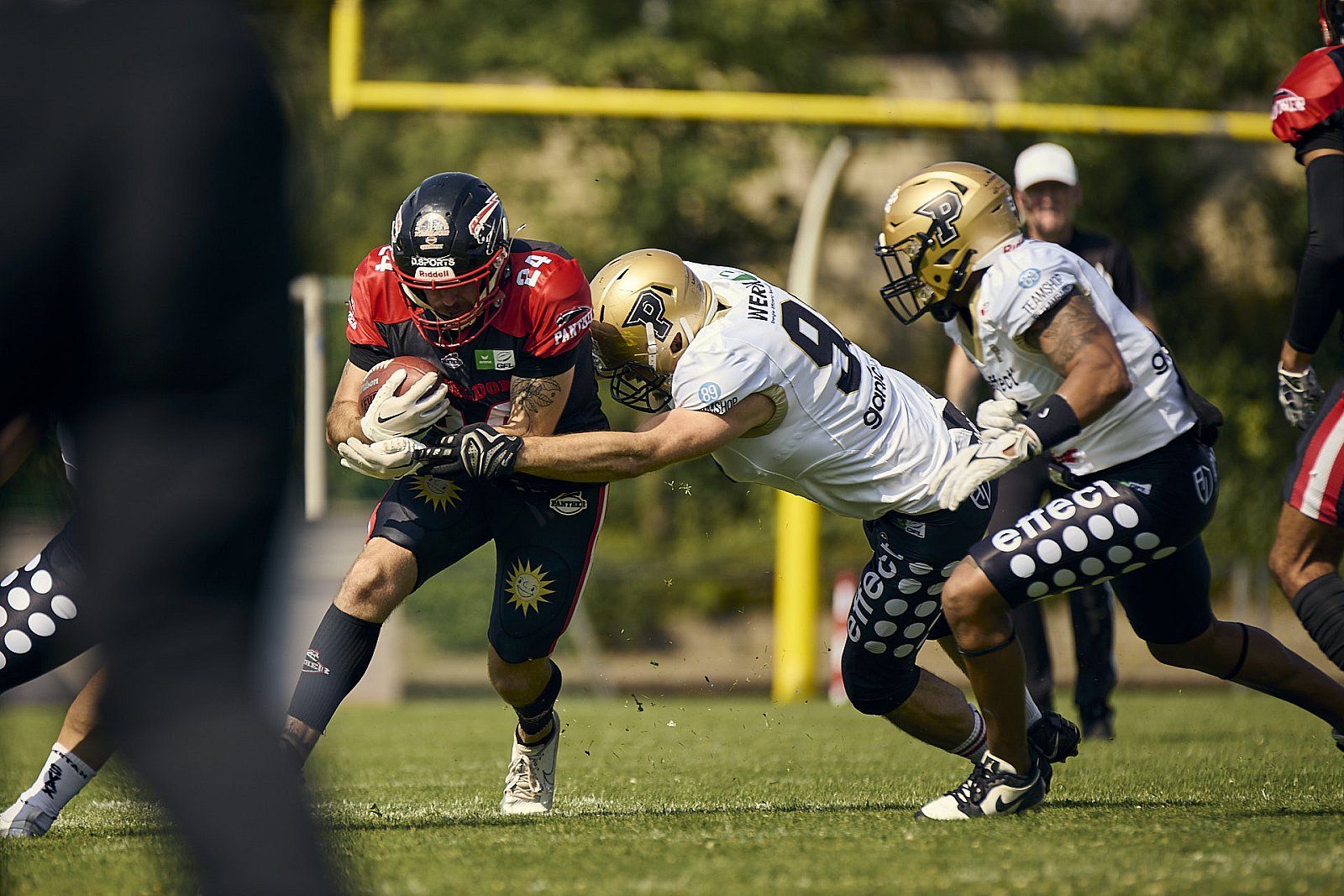 #24 Fabio Luis Car­rara, Offense, Düsseldorf Panther | GFL | Düsseldorf Panther vs. Paderborn Dolphins |  Punkte Endstand 28 : 24 | Stadion Benrath, Dusseldorf | 09.08.2025 | Job ID: 2025-08-09_0165 - DPantherPaderbornVsPaderbornDolphins