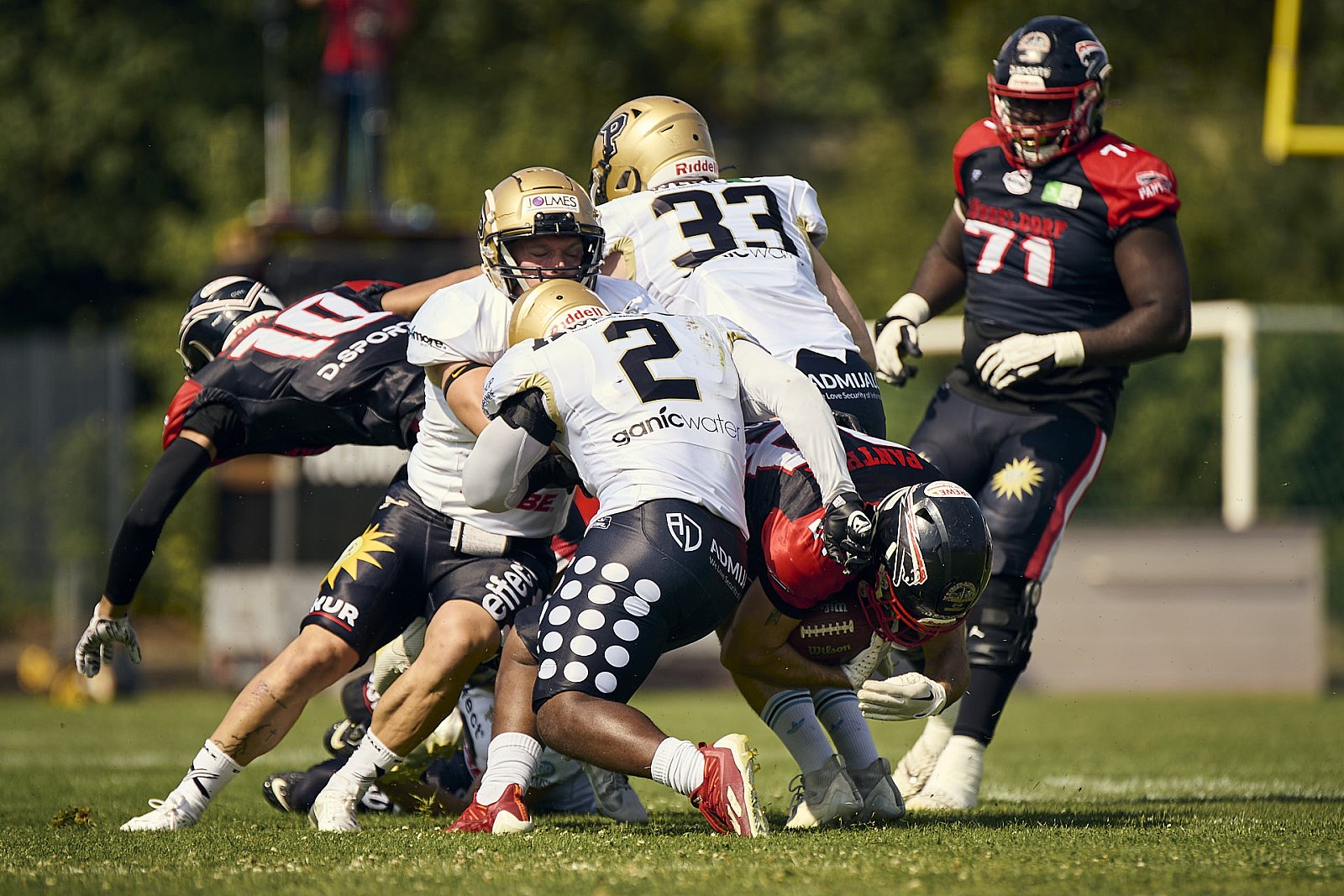#24 Fabio Luis Car­rara, Offense, Düsseldorf Panther | GFL | Düsseldorf Panther vs. Paderborn Dolphins |  Punkte Endstand 28 : 24 | Stadion Benrath, Dusseldorf | 09.08.2025 | Job ID: 2025-08-09_0166 - DPantherPaderbornVsPaderbornDolphins