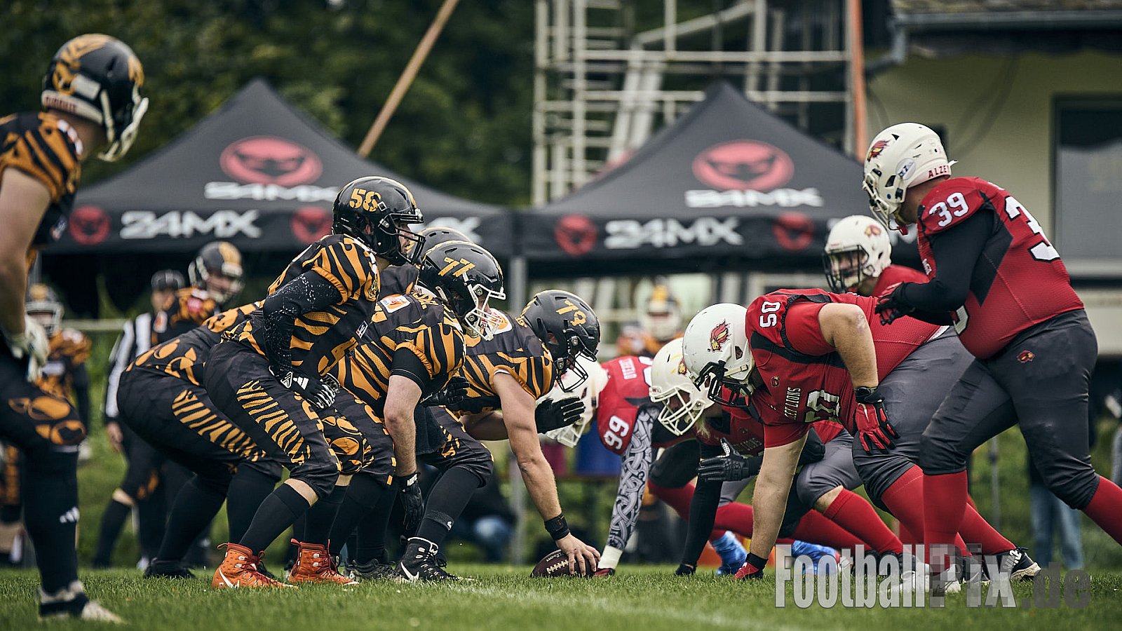 AFCV RLP Bezirksliga Mitte | Mosel Valley Tigers vs. Alzey Lions |  Punkte Endstand 12 : 21 | Sportplatz Leienkaul, Laubach | 28.09.2025 | Job ID: 2025-09-28_0390 - MoselValleyTigersVsAlzeyLions