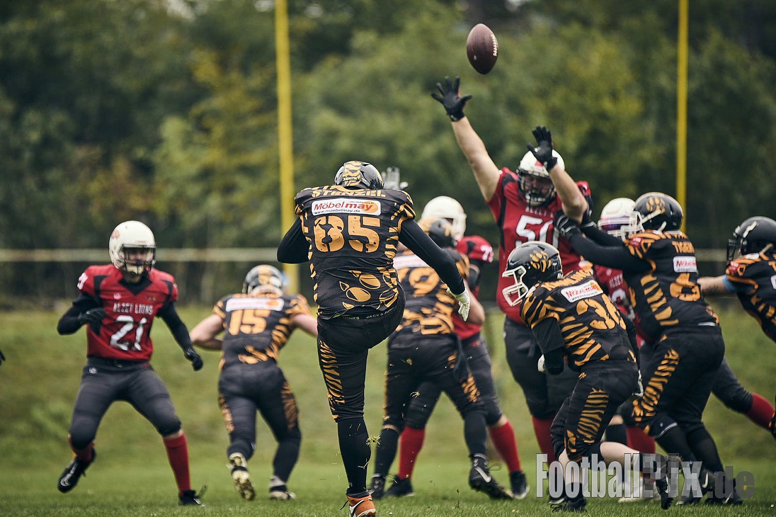 AFCV RLP Bezirksliga Mitte | Mosel Valley Tigers vs. Alzey Lions |  Punkte Endstand 12 : 21 | Sportplatz Leienkaul, Laubach | 28.09.2025 | Job ID: 2025-09-28_0415 - MoselValleyTigersVsAlzeyLions