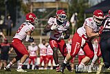 #2 Chrisman Kyei, Running Back, Potsdam Royals | GFL | D&uuml;sseldorf Panther vs. Potsdam Royals | Final Score 0:49 | Stadion Benrath, Dusseldorf | 08.08.2026 | Job ID: 2026-08-08_0289 - DPantherVsPotsdamRoyals