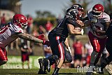 #21 Gen&shy;na&shy;diy Adams, Running Back, D&uuml;sseldorf Panther | GFL | D&uuml;sseldorf Panther vs. Potsdam Royals | Final Score 0:49 | Stadion Benrath, Dusseldorf | 08.08.2026 | Job ID: 2026-08-08_0396 - DPantherVsPotsdamRoyals